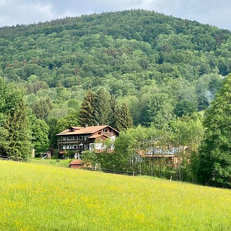 Huettenflair Im Gut Sonnenwald Schollnach Экстерьер фото